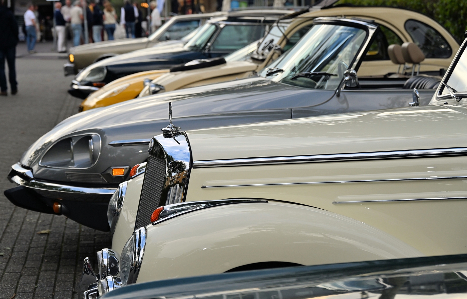 039 DSC 9129 bijgesneden LR